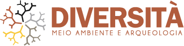 Logo Diversitá